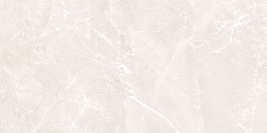 60X120 GRIGIO WHITE FULL LAPPATO