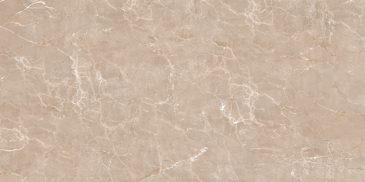 60X120 IMPERIO TAUPE FULL LAPPATO