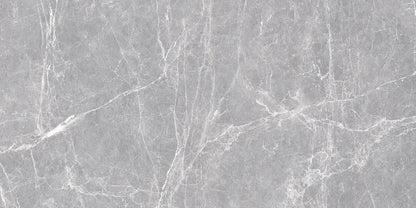 60X120 TERRE GREY FULL LAPPATO